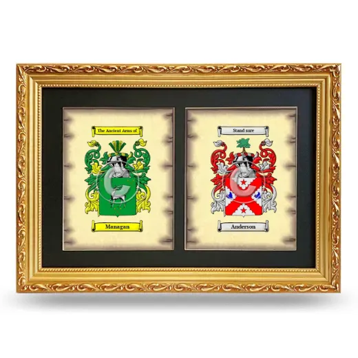 Double Coat of Arms Framed - Gold
