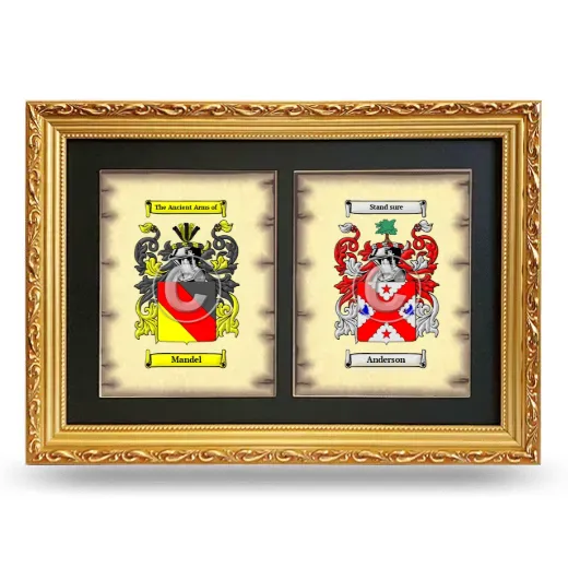 Double Coat of Arms Framed - Gold