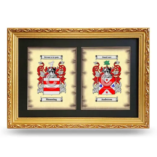 Double Coat of Arms Framed - Gold