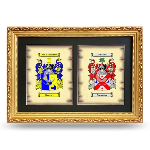 Double Coat of Arms Framed - Gold
