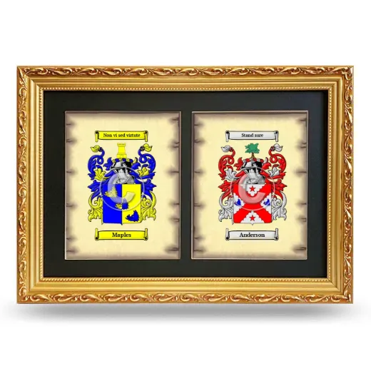 Double Coat of Arms Framed - Gold