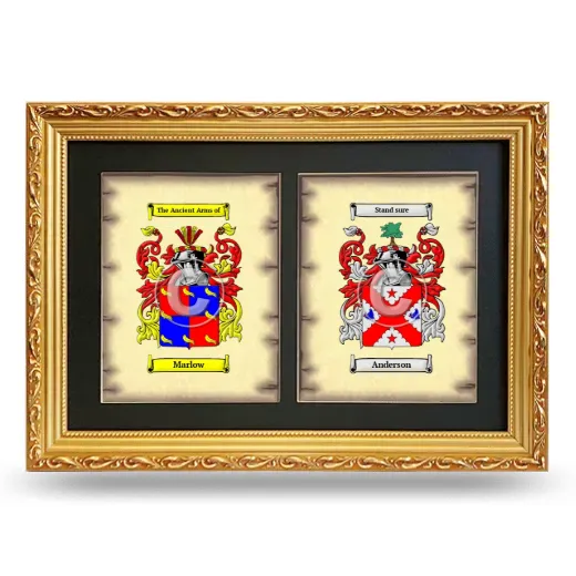 Double Coat of Arms Framed - Gold