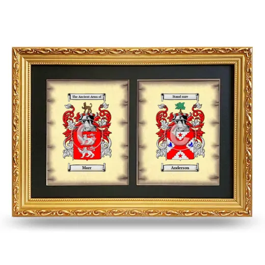 Double Coat of Arms Framed - Gold
