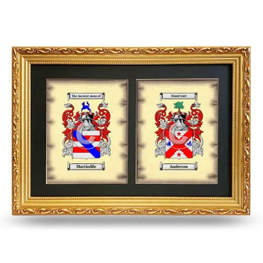 Double Coat of Arms Framed - Gold