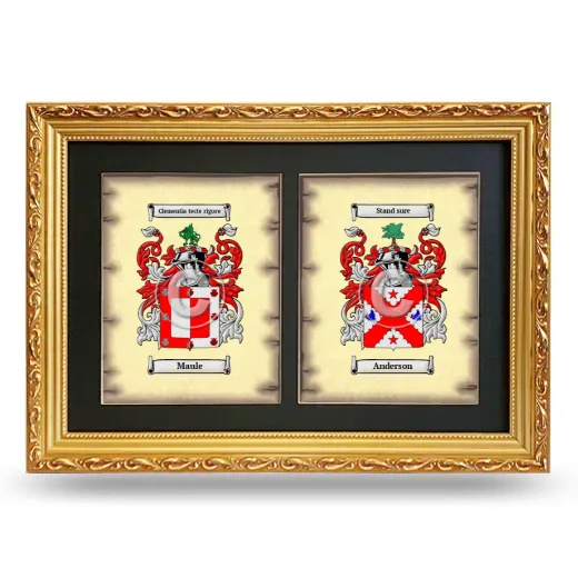 Double Coat of Arms Framed - Gold