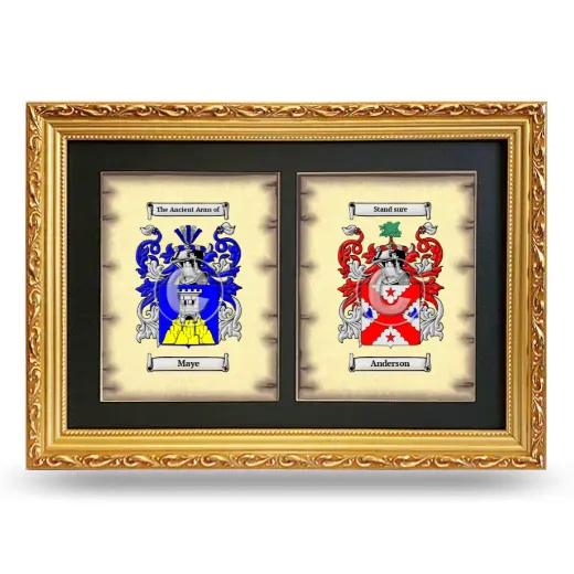 Double Coat of Arms Framed - Gold