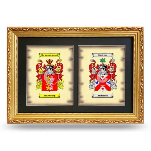 Double Coat of Arms Framed - Gold