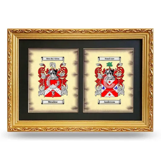 Double Coat of Arms Framed - Gold