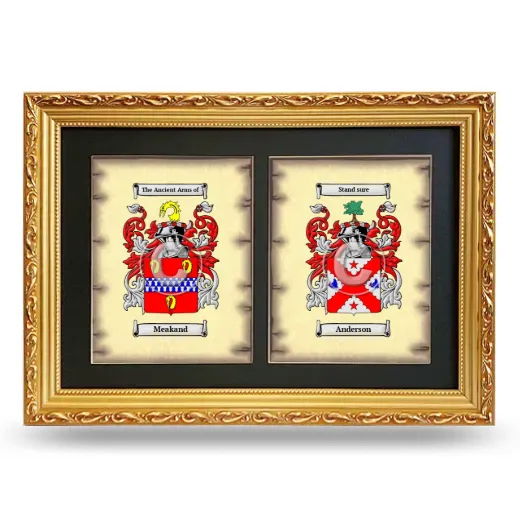 Double Coat of Arms Framed - Gold