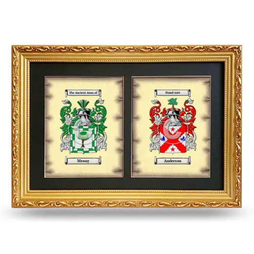 Double Coat of Arms Framed - Gold