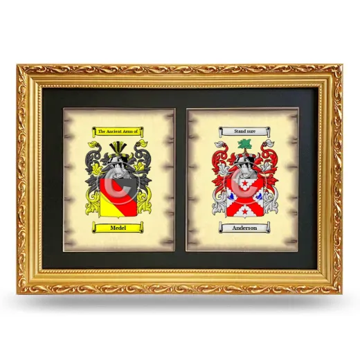 Double Coat of Arms Framed - Gold