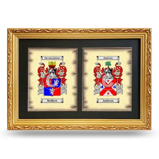 Double Coat of Arms Framed - Gold