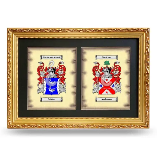 Double Coat of Arms Framed - Gold