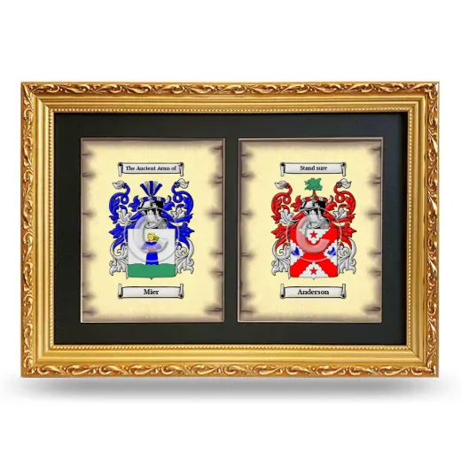 Double Coat of Arms Framed - Gold