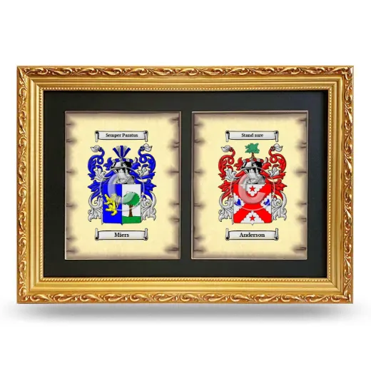 Double Coat of Arms Framed - Gold