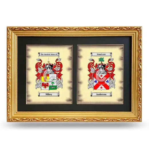 Double Coat of Arms Framed - Gold