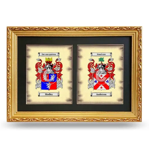 Double Coat of Arms Framed - Gold