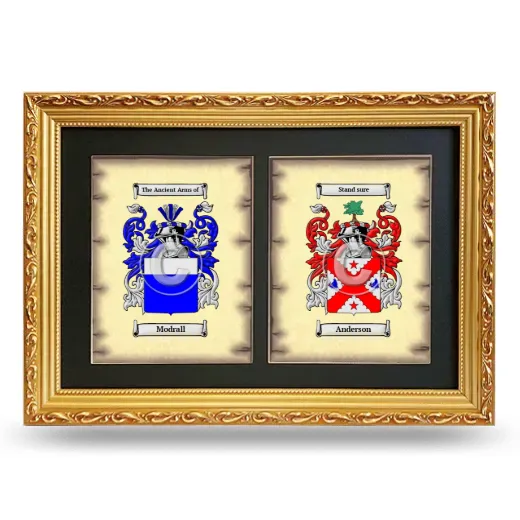 Double Coat of Arms Framed - Gold