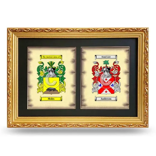 Double Coat of Arms Framed - Gold