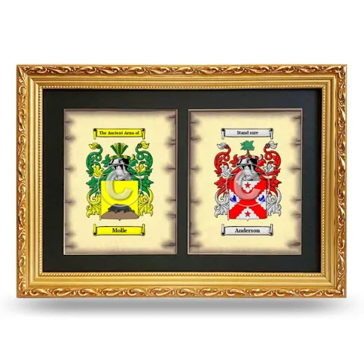 Double Coat of Arms Framed - Gold