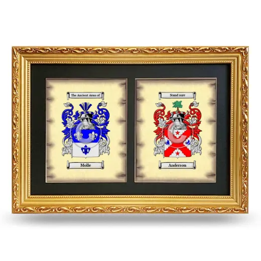 Double Coat of Arms Framed - Gold