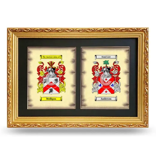 Double Coat of Arms Framed - Gold