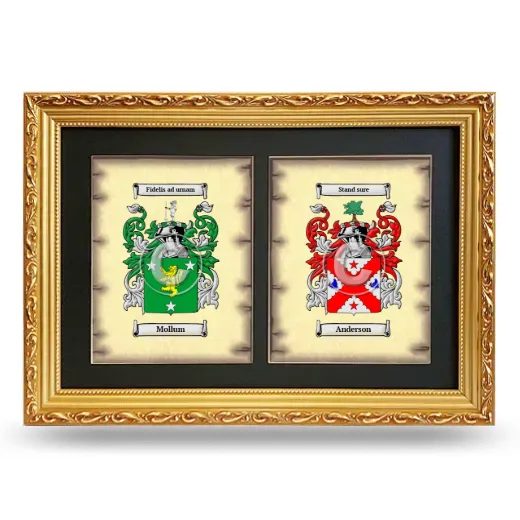 Double Coat of Arms Framed - Gold