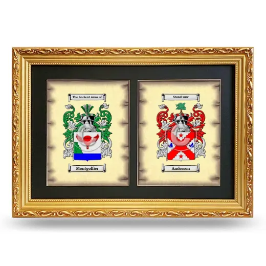 Double Coat of Arms Framed - Gold