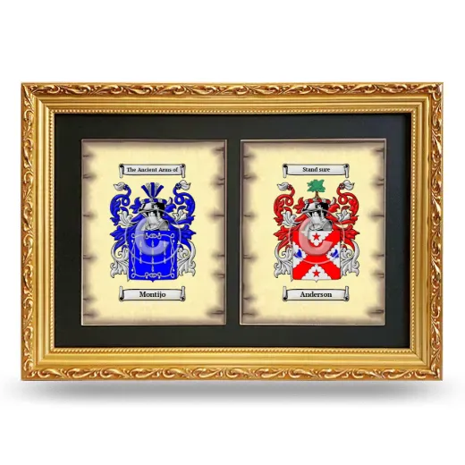 Double Coat of Arms Framed - Gold