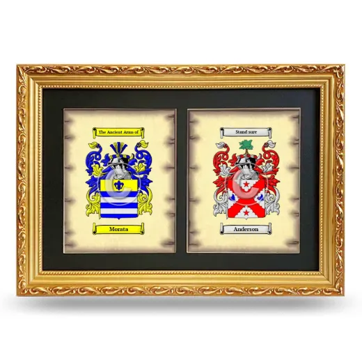 Double Coat of Arms Framed - Gold