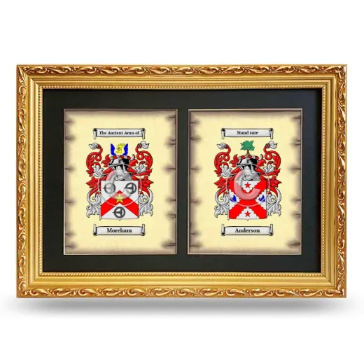 Double Coat of Arms Framed - Gold