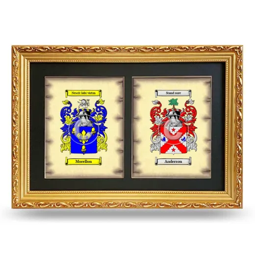 Double Coat of Arms Framed - Gold