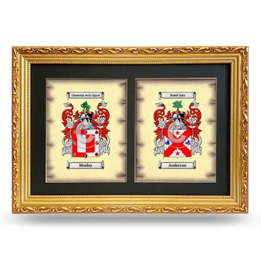 Double Coat of Arms Framed - Gold