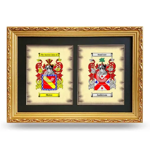 Double Coat of Arms Framed - Gold
