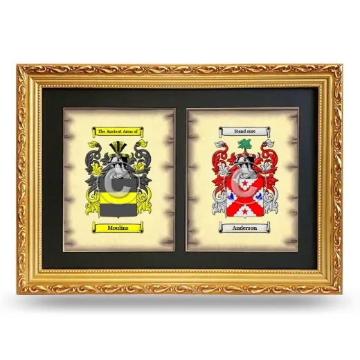 Double Coat of Arms Framed - Gold