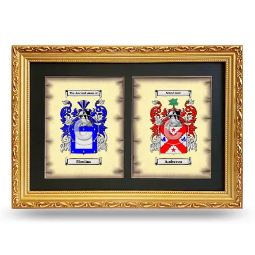 Double Coat of Arms Framed - Gold