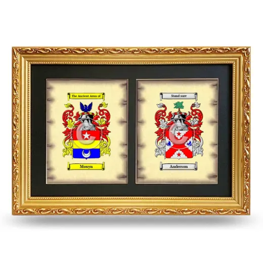 Double Coat of Arms Framed - Gold