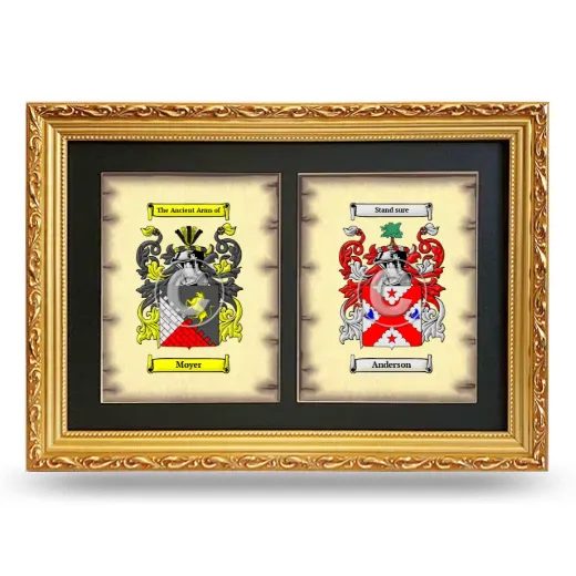 Double Coat of Arms Framed - Gold