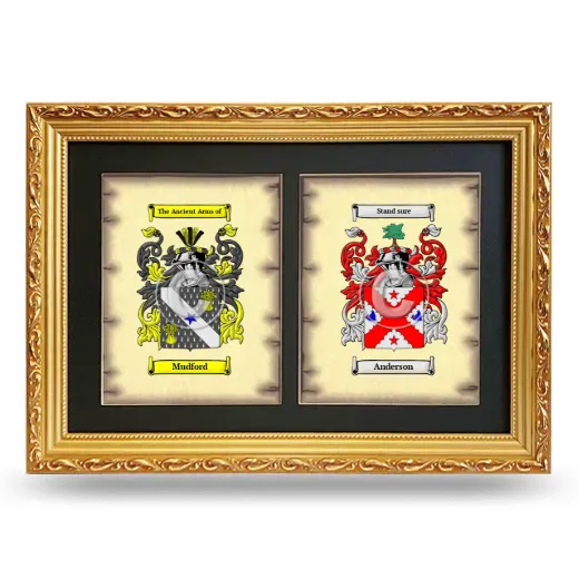 Double Coat of Arms Framed - Gold