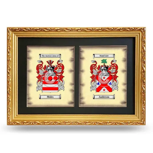Double Coat of Arms Framed - Gold