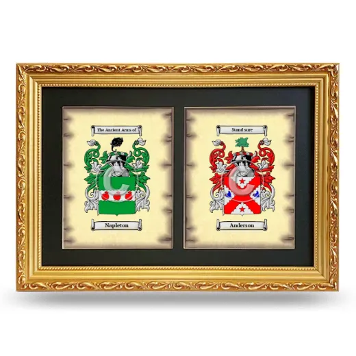 Double Coat of Arms Framed - Gold