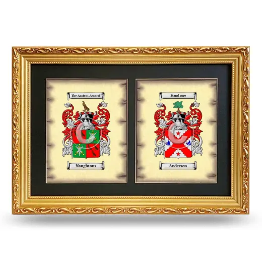 Double Coat of Arms Framed - Gold