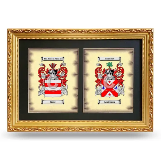 Double Coat of Arms Framed - Gold