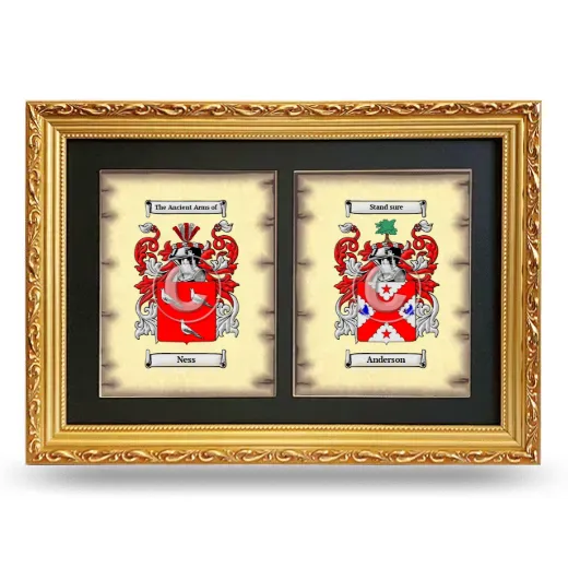 Double Coat of Arms Framed - Gold