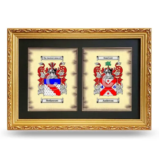 Double Coat of Arms Framed - Gold