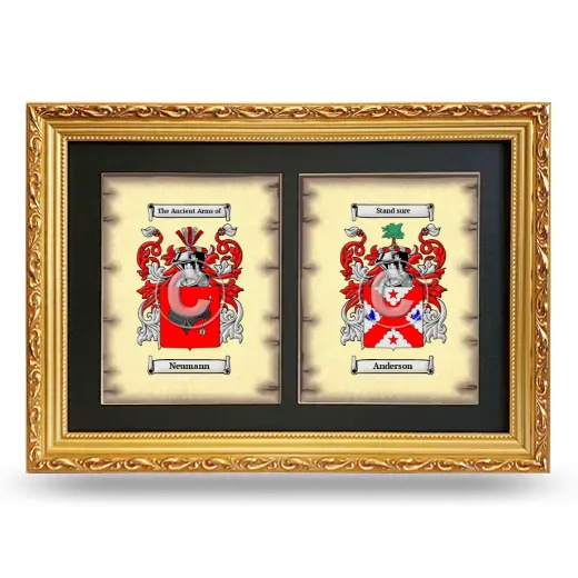 Double Coat of Arms Framed - Gold