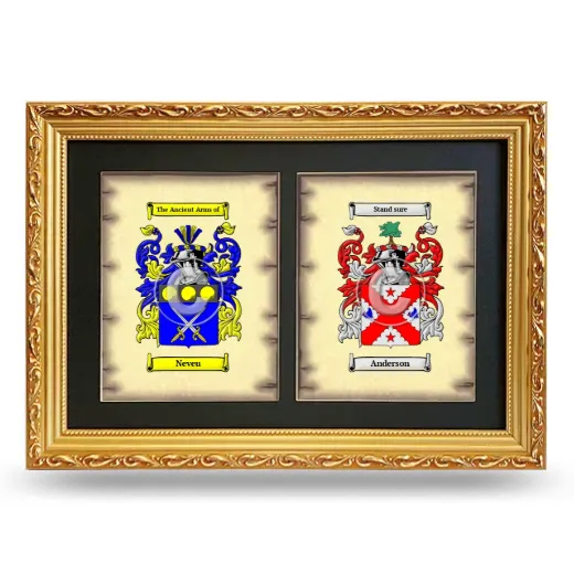 Double Coat of Arms Framed - Gold