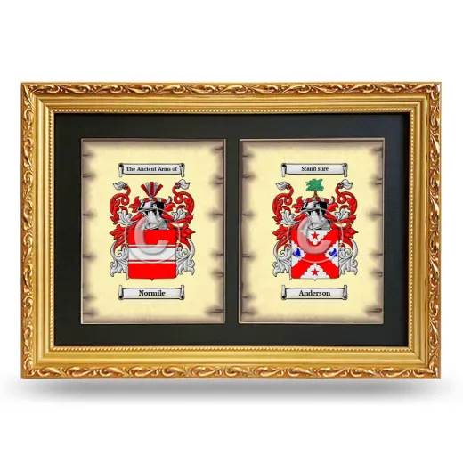Double Coat of Arms Framed - Gold
