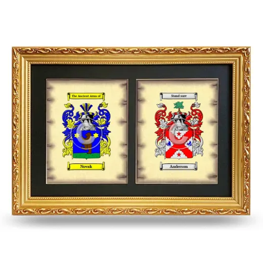 Double Coat of Arms Framed - Gold