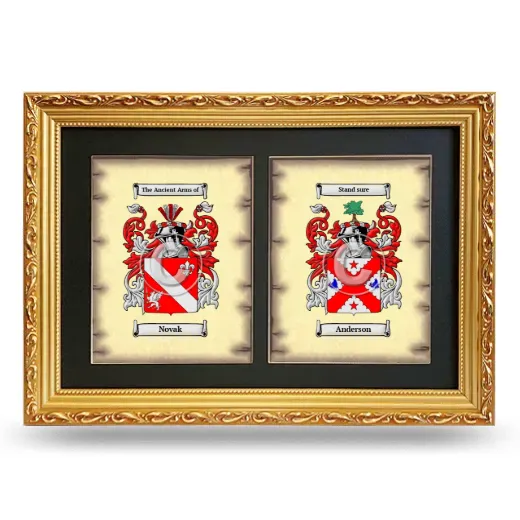 Double Coat of Arms Framed - Gold